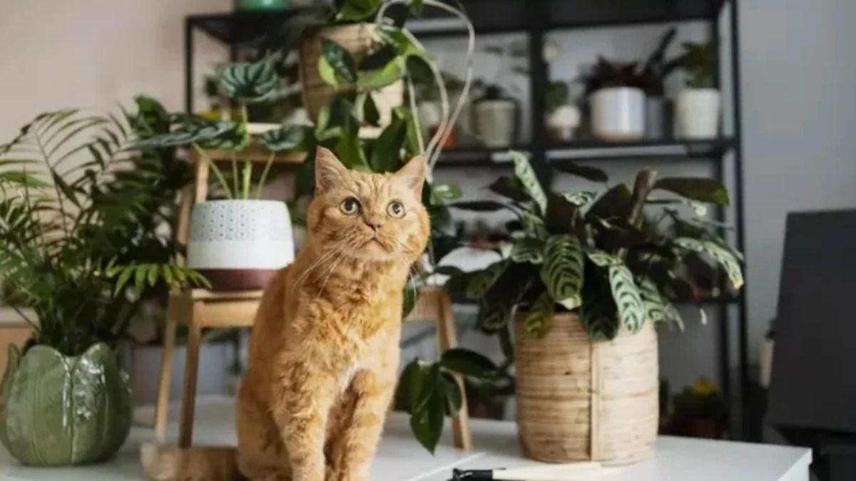 10 plantas seguras para pets, dicas práticas de especialistas para proteger seu animal
