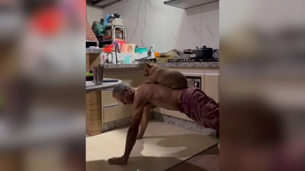 vídeo: tutor faz treino levantando a própria cachorrinha e encanta nas redes