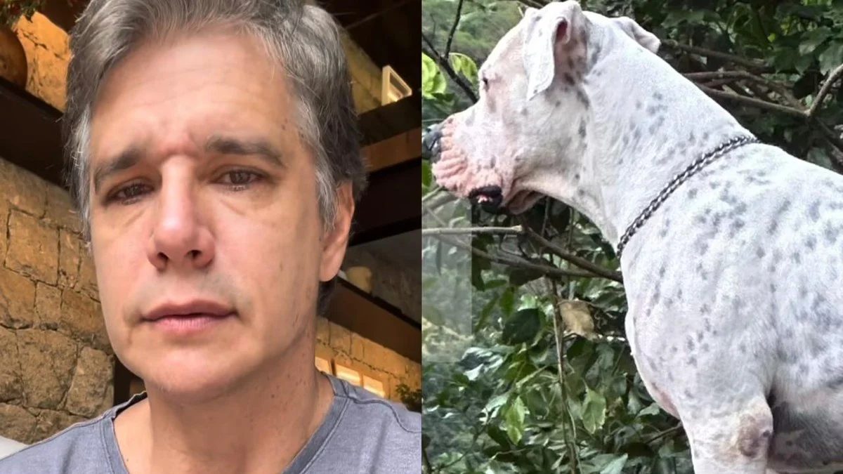 márcio garcia: a emocionante despedida de dogo, seu cãozinho que lutava contra o câncer