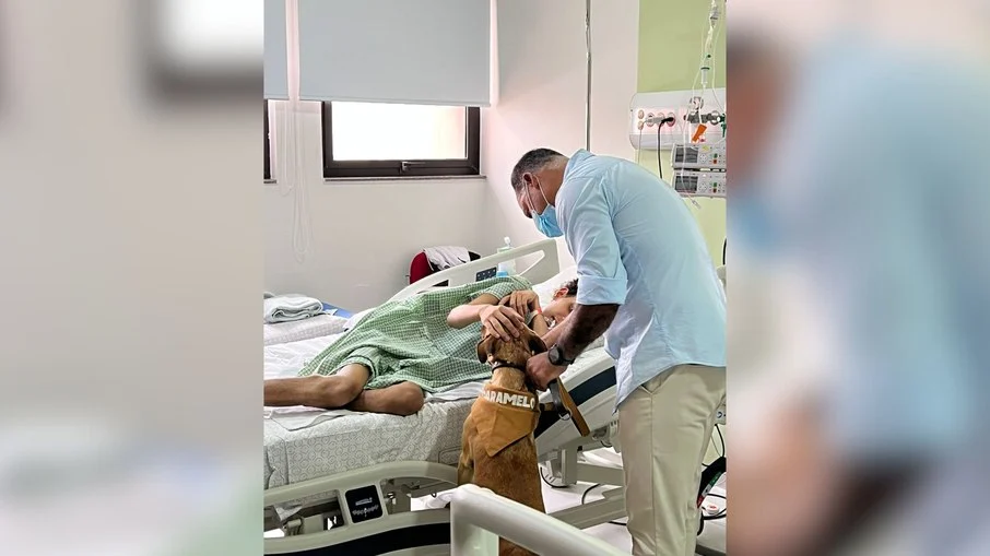 amendoim, estrela de 'caramelo', leva alegria a pacientes oncológicos em hospital
