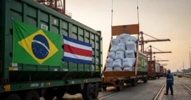 Contêineres de ração pet do Brasil sendo exportados para a Costa Rica em um porto.