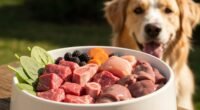 Tigela de alimentação BARF para cães com carne crua, ossos, órgãos e vegetais frescos, com um cão saudável olhando com interesse, ilustrando a dieta BARF para cães.