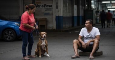 Gari ferido sentado no chão após ataque de pit bull no Ver-o-Peso, em Belém.